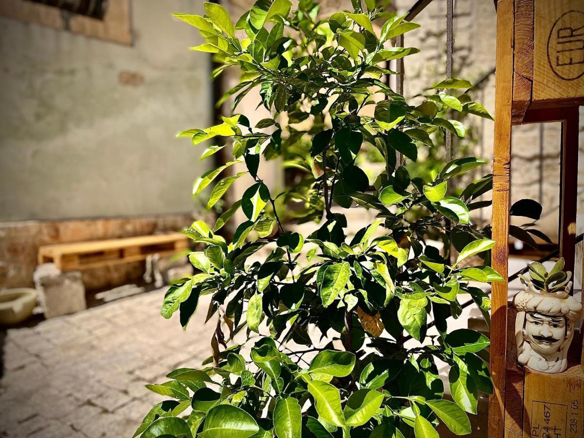 Cuturissi Hospitality & Wellnees Bed & Breakfast Ragusa Dış mekan fotoğraf